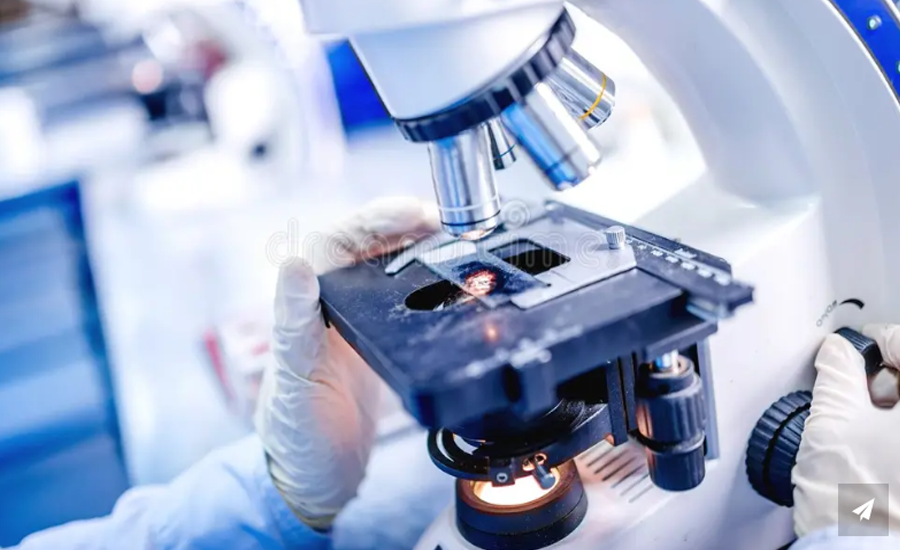 Medical Laboratory